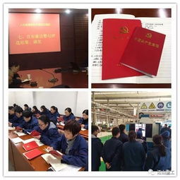 江山重工集團2017年黨建工作亮點 一 支部主題黨日 活動