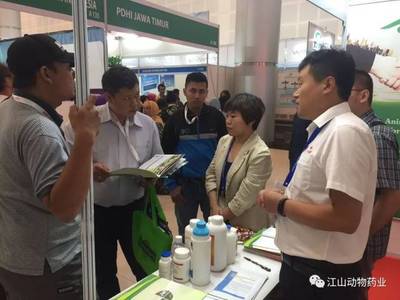 印度尼西亞國際貿(mào)易博覽會,江山集團滿載而歸!