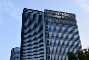 一條街上七家上市公司 杭州高新企業的江山集團現象