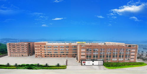 廣東邦寶個人護理用品 江山集團的戰略布局與市場前景