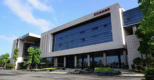 醬油第一股逆風翻盤，加加食品與江山集團的戰略突圍